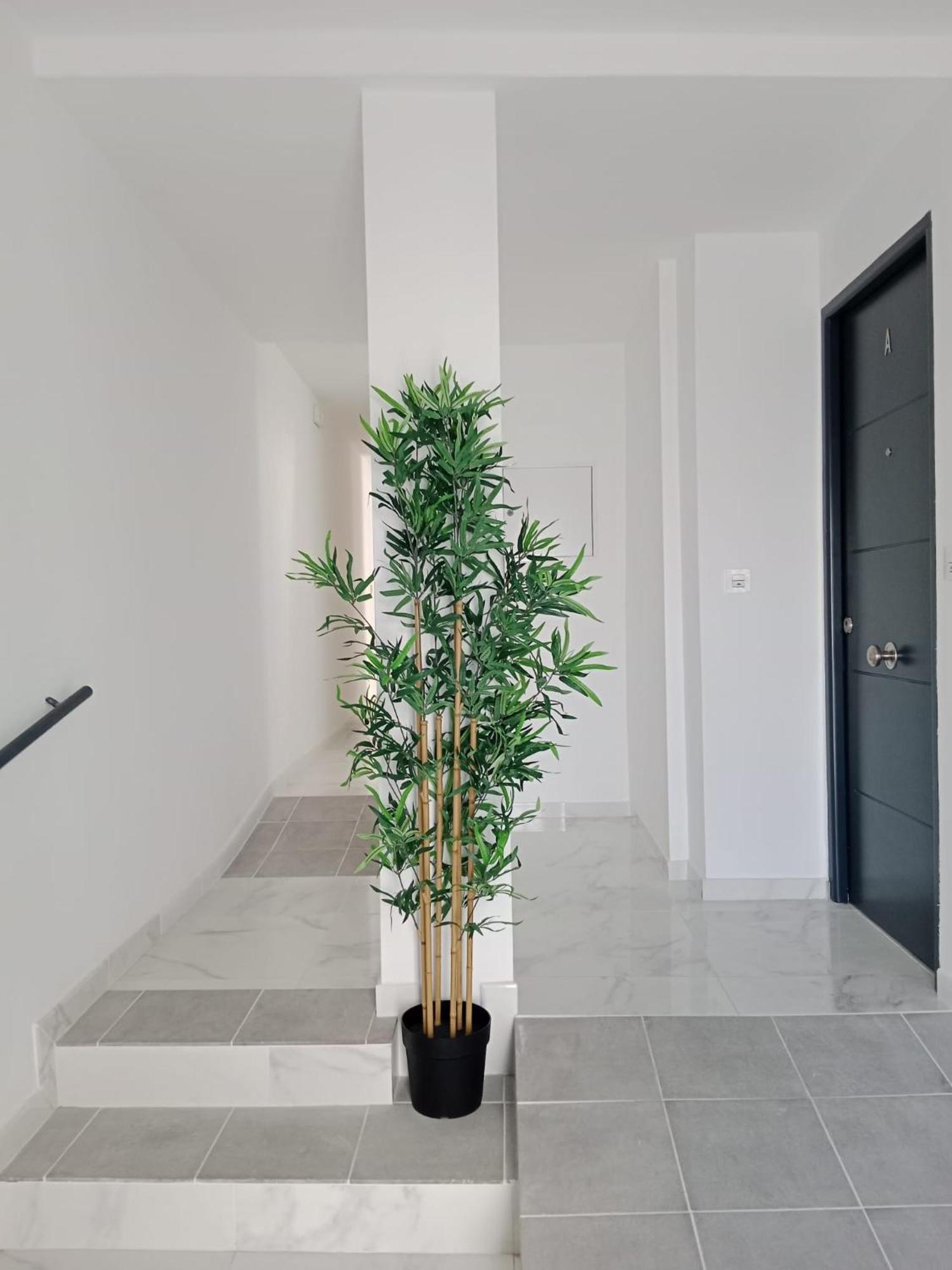 Apartamento Gloria Bendita 헤레스 외부 사진